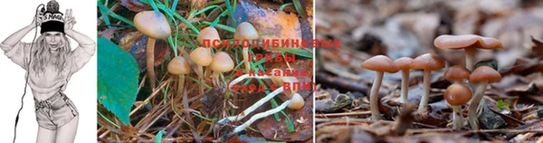 синтетический гашиш Белоозёрский