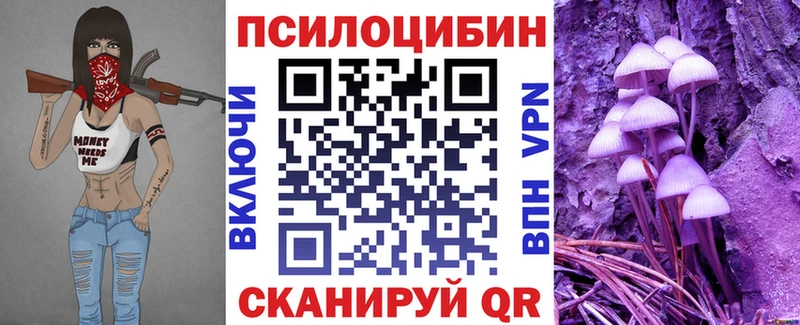 Галлюциногенные грибы Cubensis  Купить  Нестеров 